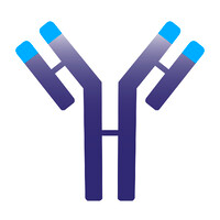 Immunovant